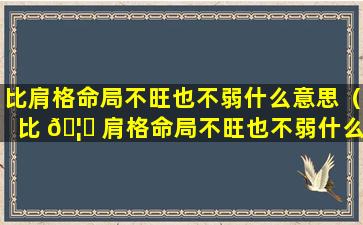 比肩格命局不旺也不弱什么意思（比 🦉 肩格命局不旺也不弱什么意思呢）